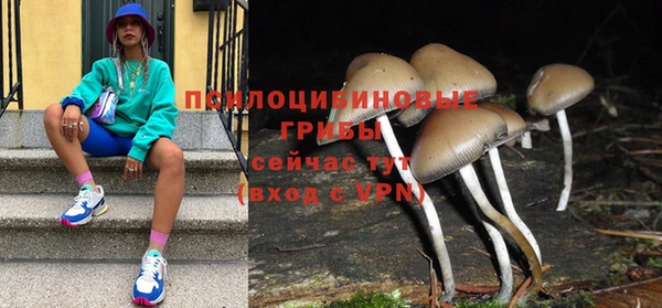 a pvp Алзамай