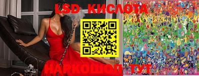 прущие грибы Шелехов