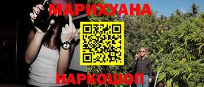 прущие грибы Шелехов