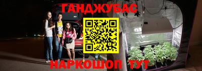 прущие грибы Шелехов