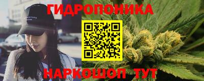 прущие грибы Шелехов