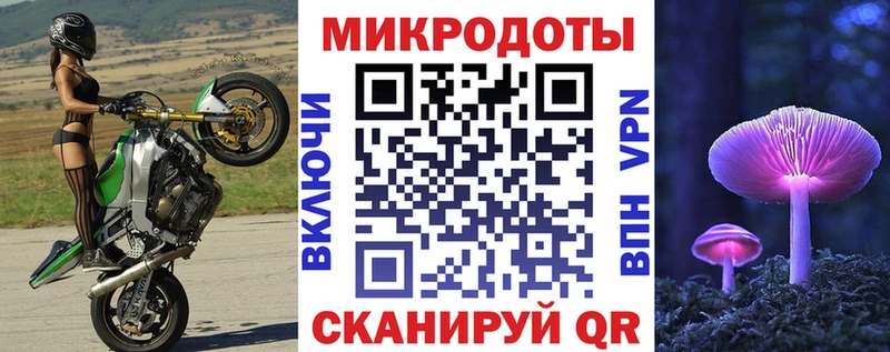 Псилоцибиновые грибы GOLDEN TEACHER  магазин продажи наркотиков  Курганинск 