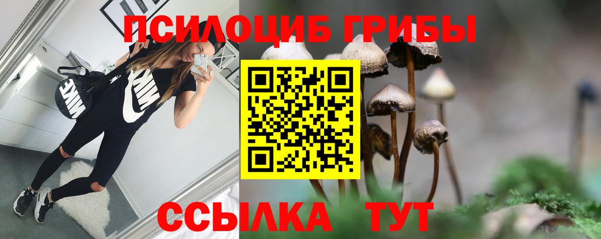 Псилоцибиновые грибы GOLDEN TEACHER  Вход с VPN  Курганинск 
